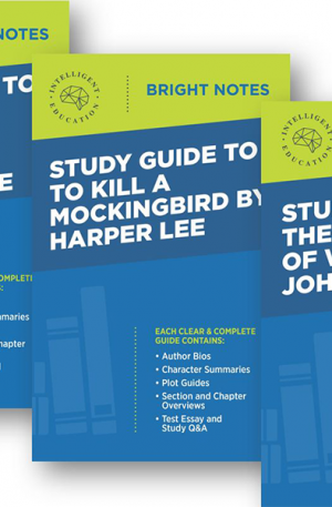 Bright Notes Study Guides